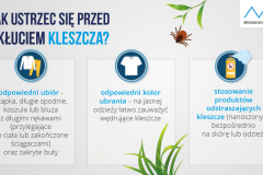 cbf34754-7c27-4d1a-9cd9-3d251f64d292