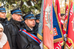 11.11-9081
