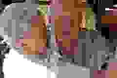 545858374_1517569749675410_3837299638381860632_n